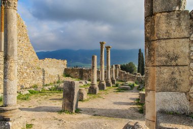Volubilis, Fas - turistik cazibe ve Meknes yakınlarındaki bir Roma arkeolojik alanı. Volubilis, Fas bir UNESCO Dünya Mirası ve Roma İmparatorluğu 'nun iyi korunmuş bir sömürge kentidir..