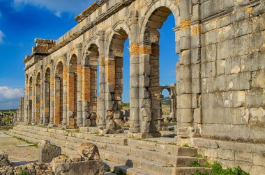 Volubilis, Fas - turistik cazibe ve Meknes yakınlarındaki bir Roma arkeolojik alanı. Volubilis, Fas bir UNESCO Dünya Mirası ve Roma İmparatorluğu 'nun iyi korunmuş bir sömürge kentidir..