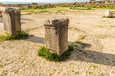 Volubilis, Fas - turistik cazibe ve Meknes yakınlarındaki bir Roma arkeolojik alanı. Volubilis, Fas bir UNESCO Dünya Mirası ve Roma İmparatorluğu 'nun iyi korunmuş bir sömürge kentidir..