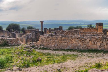 Volubilis, Fas - turistik cazibe ve Meknes yakınlarındaki bir Roma arkeolojik alanı. Volubilis, Fas bir UNESCO Dünya Mirası ve Roma İmparatorluğu 'nun iyi korunmuş bir sömürge kentidir..