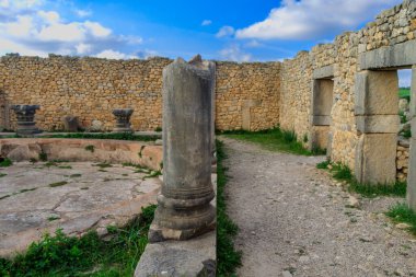 Volubilis, Fas - turistik cazibe ve Meknes yakınlarındaki bir Roma arkeolojik alanı. Volubilis, Fas bir UNESCO Dünya Mirası ve Roma İmparatorluğu 'nun iyi korunmuş bir sömürge kentidir..