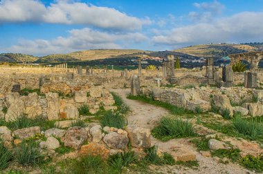 Volubilis, Fas - turistik cazibe ve Meknes yakınlarındaki bir Roma arkeolojik alanı. Volubilis, Fas bir UNESCO Dünya Mirası ve Roma İmparatorluğu 'nun iyi korunmuş bir sömürge kentidir..