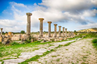 Volubilis, Fas - turistik cazibe ve Meknes yakınlarındaki bir Roma arkeolojik alanı. Volubilis, Fas bir UNESCO Dünya Mirası ve Roma İmparatorluğu 'nun iyi korunmuş bir sömürge kentidir..