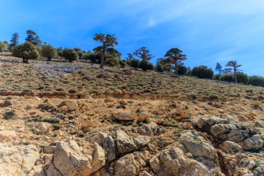 Atlas Dağları, kuzeybatı Afrika 'da Atlantik kıyısından Fas' a kadar uzanan büyük bir dağ sistemidir.
