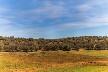 Atlas Dağları, kuzeybatı Afrika 'da Atlantik kıyısından Fas' a kadar uzanan büyük bir dağ sistemidir.