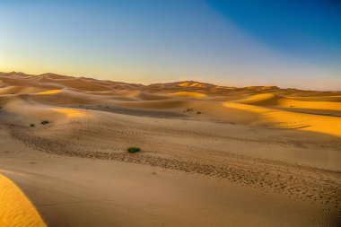 Sahra Çölü kum tepeleri. Popüler seyahat merkezi, Erg Chebbi, Sahra Çölü, Fas. Erg Chebbi