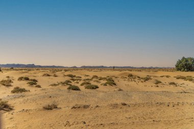 Binlerce Kasbalı 'nın yolu, Atlas Dağları ve Atlas Dağları arasındaki Dades Vadisi boyunca uzanan çarpıcı çöl manzaraları, köyler ve palmiye ağaçlarının arasından geçen muhteşem bir yolculuktur..