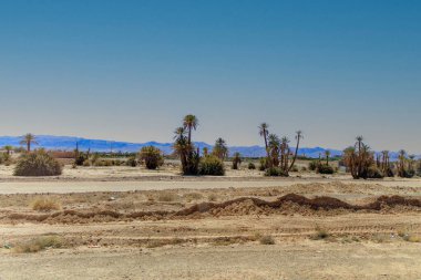 Fas 'ın güneydoğusundaki Tinejdad vahasının manzarası.