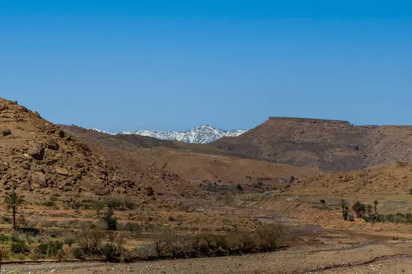 Atlas Dağları ve Marakeş ile Ouarzazate arasındaki çam ormanları karla kaplıydı.