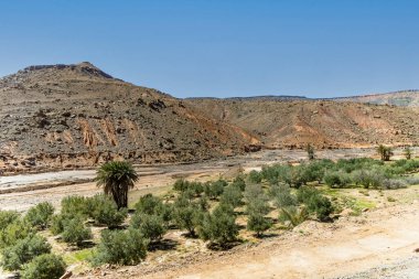 Ait İbourk Vahasının Manzaralı Güzelliği: Palmiye ağaçları ve Dağlar