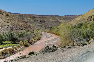 Ait İbourk Vahasının Manzaralı Güzelliği: Palmiye ağaçları ve Dağlar