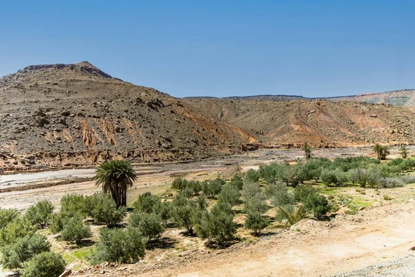 Ait İbourk Vahasının Manzaralı Güzelliği: Palmiye ağaçları ve Dağlar