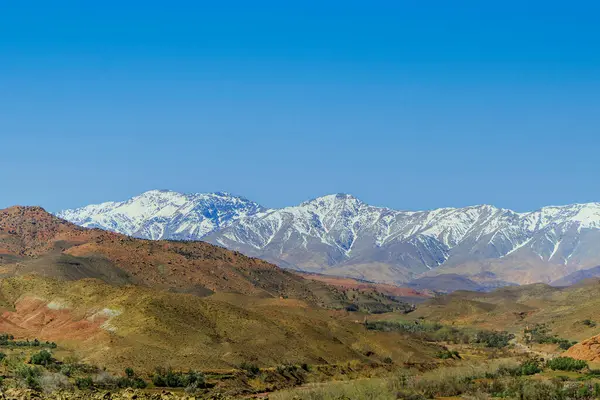 Snow covered Atlas Mountains and pine forest between Marrakesh and Ouarzazate