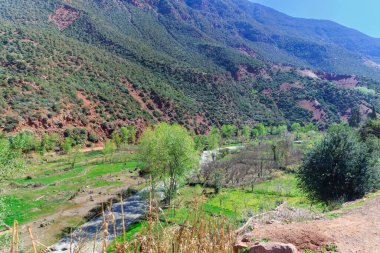 Ourika Valley manzara, Fas. Kar gölgeler içinde bereketli vadinin şapkalı yüksek atlas Dağları, Marakeş yaklaşık 60 kilometre.