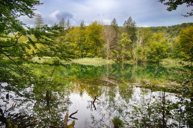 Proscansko Gölü, Hırvatistan 'ın Plitvice Gölleri Ulusal Parkı' ndaki en büyük göllerden biri.