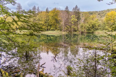 Proscansko Gölü, Hırvatistan 'ın Plitvice Gölleri Ulusal Parkı' ndaki en büyük göllerden biri.