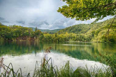 Hırvatistan 'daki Plitvice Lakes Ulusal Parkı. Galovac Gölü (Jezero Galovac), Plitvice Yukarı Gölleri 'ne ait olup tüm göl sisteminin en yüksek sekiz gölüdür..