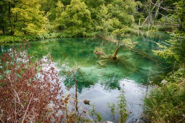 The Milino Jezero lake of Plitvice Lakes National Park in Croatia in Lika region. UNESCO World Heritage of Croatia named Plitvicka Jezera. clipart