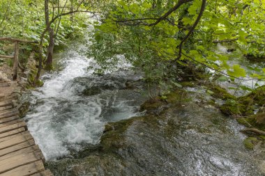 Hırvatistan 'daki güzel Plitvice Gölleri Ulusal Parkı' nda küçük bir şelale