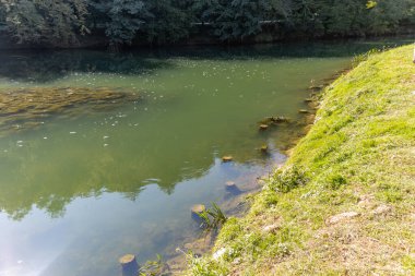 View of Krka river on the shore in Dolenjska, Slovenia clipart