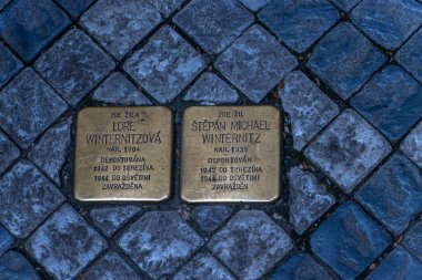 Sanatçı Gunter Demnig 'in 