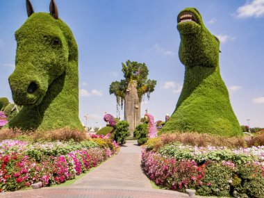 Dubai Mucize Bahçesi dünyanın en büyük doğal çiçek bahçesi, 150 milyon farklı türde çiçek ve en iyi turist, eşsiz gösteri ve abartılı açık hava eğlence merkezidir. Dubai 'de. BAE.