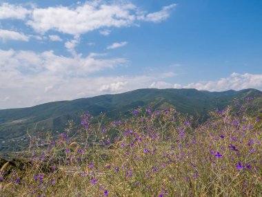 Yeşil manzaranın Jvari Manastırı 'ndan (Gürcistan)