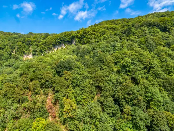 Gürcistan 'daki Okatse Kanyonu' nun havadan görünüşü, dramatik uçurumların ve yemyeşil çimlerin arasından akan nehir, nefes kesici doğal manzarayı gözler önüne seriyor..