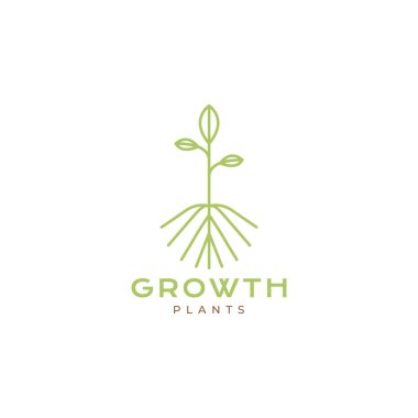 yeşil bitki büyüme alanı Minimalist logo tasarım vektörü