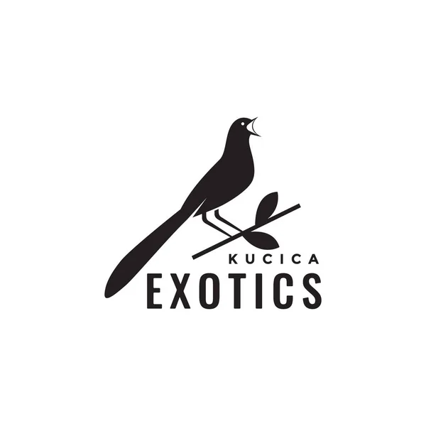 Exotic Bird Magpie Robins Singer Perched Branch Forest Isolated Logo — Stock vektor