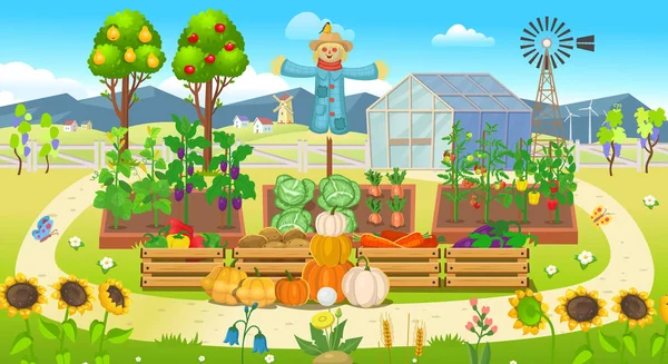 Farm Πανόραμα Κήπο Λαχανικά Στα Κρεβάτια — Διανυσματικό Αρχείο