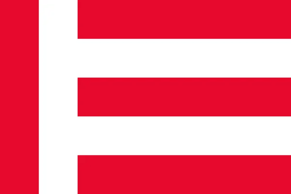 Vektorová Vlajka Holandského Města Eindhoven — Stockový vektor