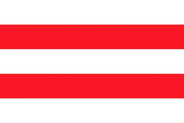 Bandeira Ilha Raiatea Cidade Usti Nad Labem — Vetor de Stock