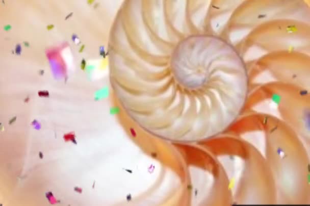Оболочка Фибоначчи Скорлупа Nautilus Оболочки Конфетти Акции Коралл Фибоначчи Видеоклип — стоковое видео