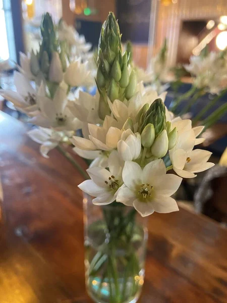 Ornithogalum Thyrsoides Chincherinchee Weiße Blüten Der Vase — Stockfoto