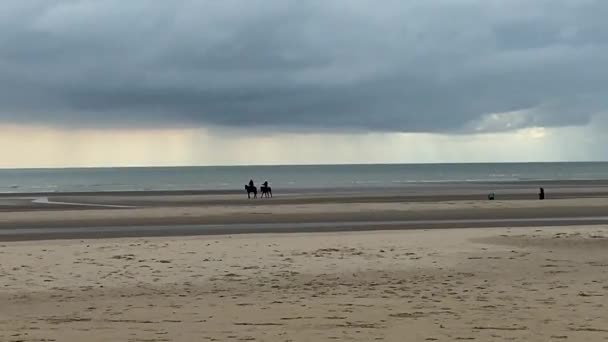 骑手们在暴风雨的天空背景下在沙滩上练马的轮廓 并附有复制空间 — 图库视频影像
