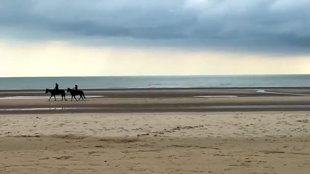 Silhueta Cavaleiros Exercitando Cavalos Praia Com Fundo Céu Tempestuoso Com — Vídeo de Stock