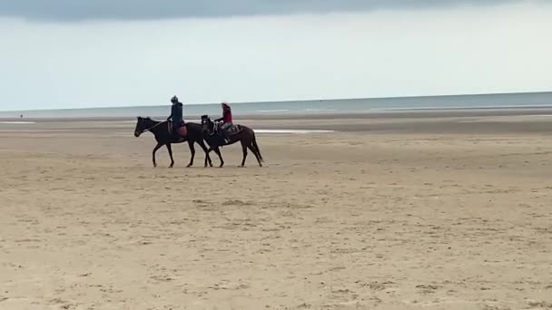 Silhouette Cavalieri Che Esercitano Cavalli Sulla Spiaggia Con Sfondo Cielo — Video Stock
