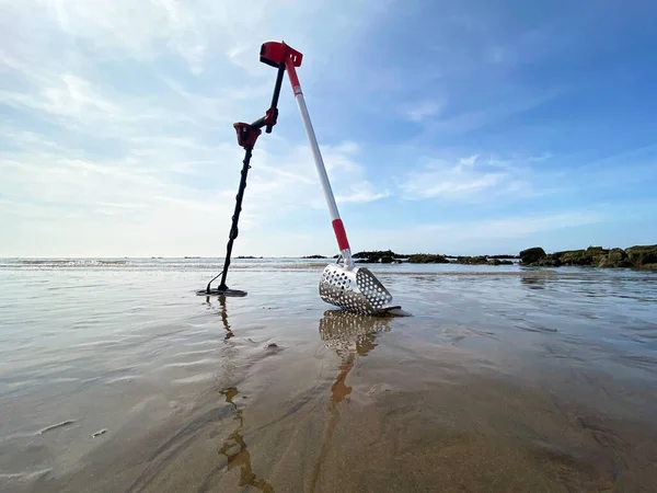 沙坑金属探测金属探测器海滩鱼群照片 图库图片