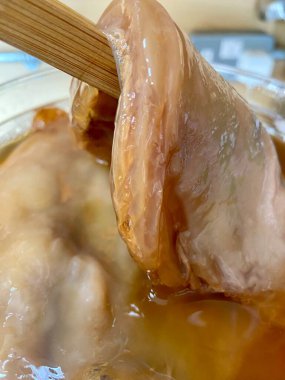 Kavanozda kombu çayı için Scoby ya da mantar. Scoby çay mantarı, sağlıklı mayalanmış çay, diyet organik süper yiyecek Kombu çayı yapmak için fermantasyon sürecini başlatmak için.