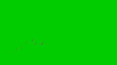 Canlandırılmış pembe notalar soldan sağa doğru uçar. Bir nota dalgası. Müzik anlayışı. Vektör illüstrasyonu yeşil arkaplanda izole edildi.