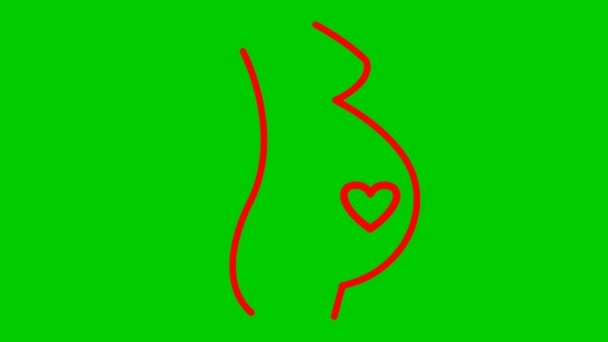 生动活泼的红线怀孕与婴儿心脏 循环视频心跳 怀孕的概念 在绿色背景上孤立的矢量图 — 图库视频影像