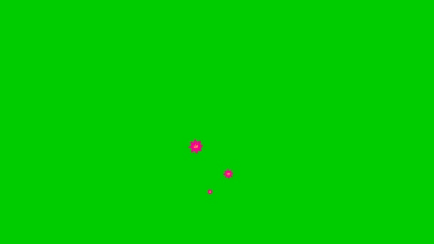アニメーションピンクの美しい花は下から上に飛ぶ 白い背景に飛んでの噴水 ループビデオだ 緑の背景に独立したベクトル図 — ストック動画
