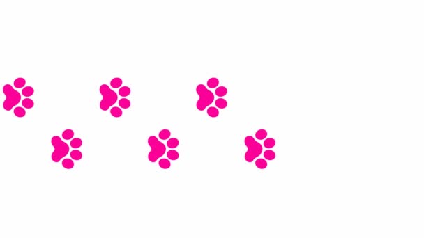 Κινούμενα Ροζ Κομμάτια Γάτας Πατημασιά Της Γάτας Εμφανίζεται Περιτροπής Βιντεοσκοπημένο — Αρχείο Βίντεο