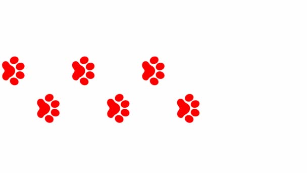 Κινούμενα Κόκκινα Κομμάτια Πατημασιά Της Γάτας Εμφανίζεται Περιτροπής Βιντεοσκοπημένο Διανυσματική — Αρχείο Βίντεο