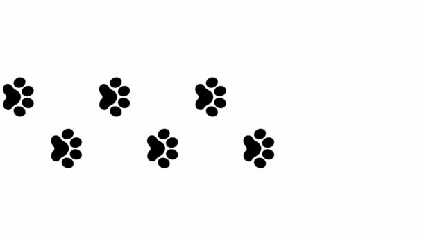 动画猫黑色的痕迹 一只猫的爪子印出现了轮流 循环视频 白色背景上孤立的矢量平面插图 — 图库视频影像
