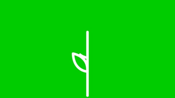 小麦の耳のアニメーション白のシンボル パンの概念 線形アイコン 緑の背景に独立したベクトル図 — ストック動画