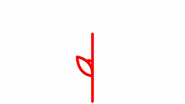 Animowany Czerwony Symbol Ucha Pszenicy Pojęcie Jedzenia Chleba Liniowa Ikona — Wideo stockowe