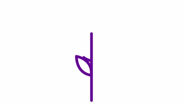 小麦の耳のアニメーション紫色のシンボル 食べ物 パンの概念 線形アイコン 白を基調としたベクトルイラスト — ストック動画