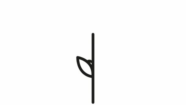 Animowany Czarny Symbol Ucha Pszenicy Pojęcie Jedzenia Chleba Liniowa Ikona — Wideo stockowe